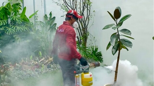 Jasa Anti Rayap