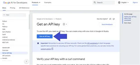 Cara-Menggunakan-Gemini-API-Key-Generator-untuk-AI-App-Panduan-Lengkap