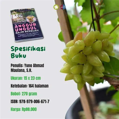 buku-panduan-anggur-Buku-Panduan