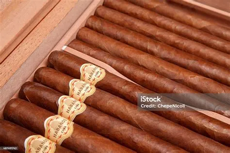 cerutu-kuba-asli-Rahasia-Cerutu