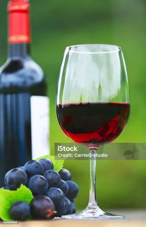 gelas-anggur-merah-bordeaux-Gelas-Anggur