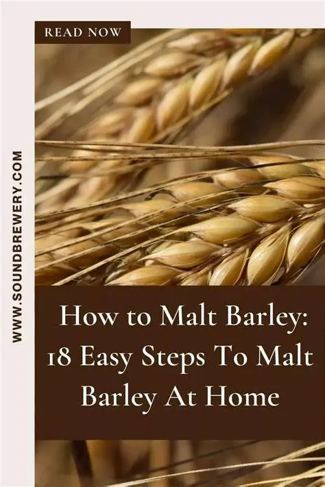 malt-barley-giling-Malt-Barley
